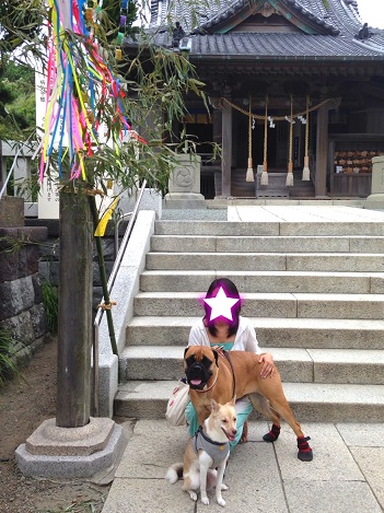 森戸神社＆海岸へ♪_a0275494_21591026.jpg