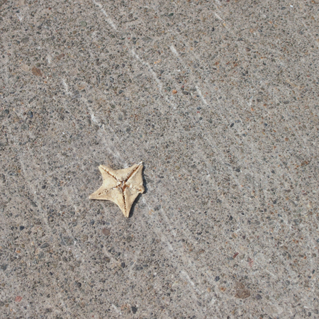 f0003598_20164055.jpg