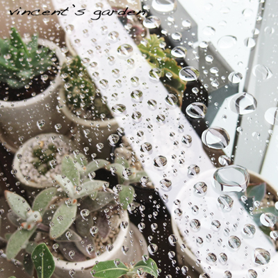ベランダに透明な雨よけを ぶいくんの庭