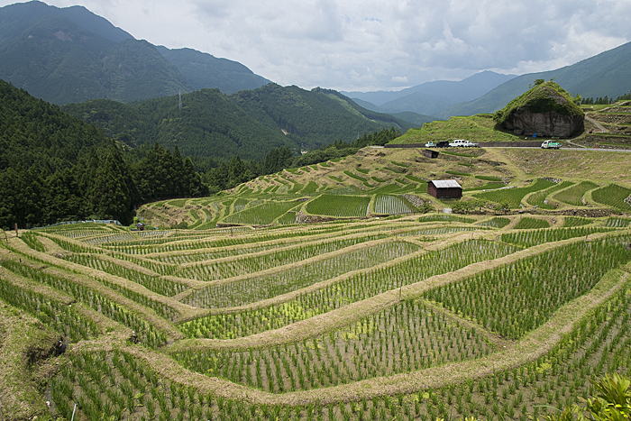 < 丸山千枚田・虫送りに行ってきた >_c0183700_22271488.jpg