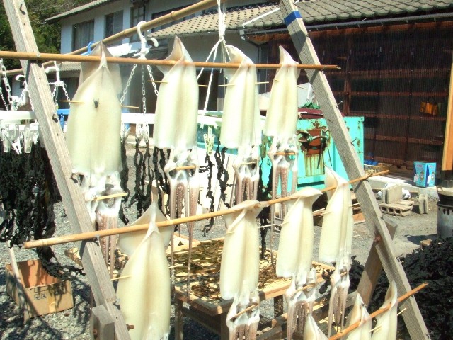 c0062603_11322495.jpg