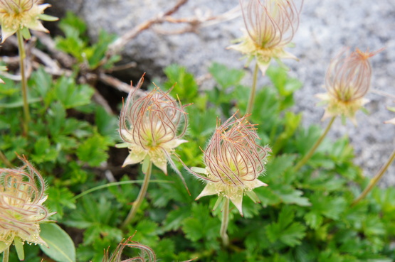 a0248508_23375141.jpg