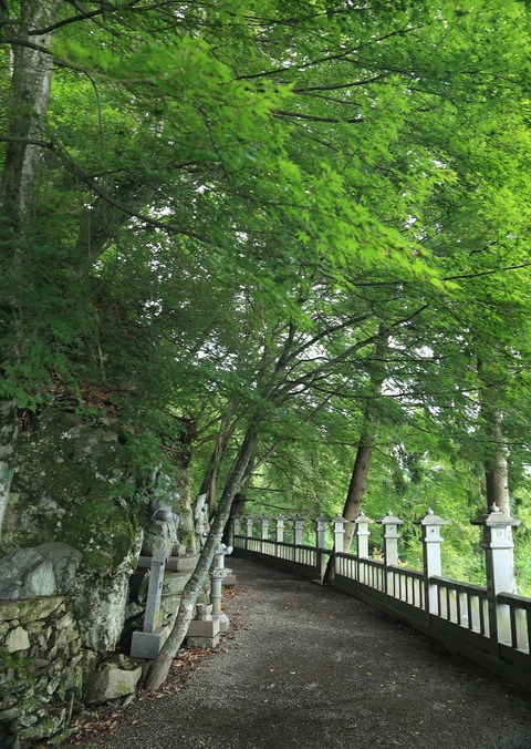 b0229909_13211624.jpg