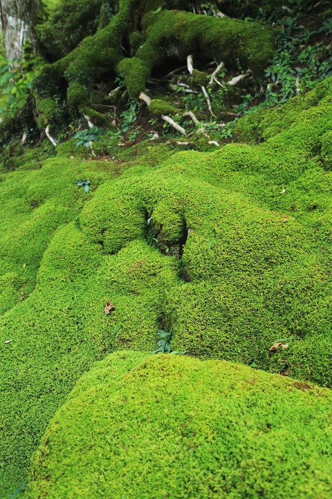 b0229909_13234348.jpg