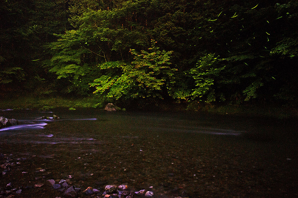 b0010915_2243760.jpg