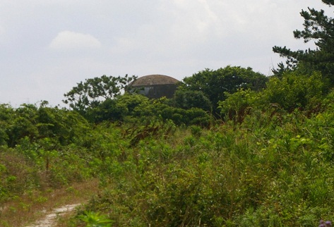 b0275715_1243147.jpg