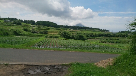 b0314016_12113760.jpg