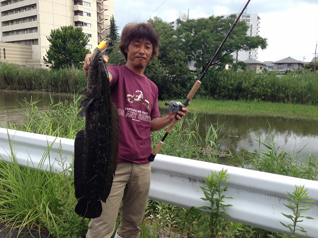 原付ホタルラン中止!_a0164918_19545164.jpg