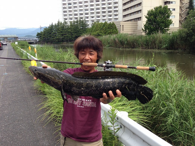 原付ホタルラン中止!_a0164918_19553477.jpg