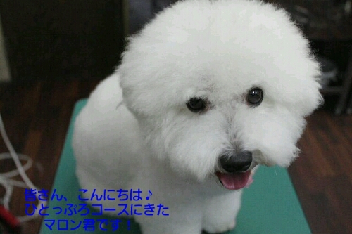 七夕_b0130018_06495.jpg