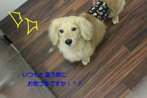 七夕_b0130018_08126.jpg