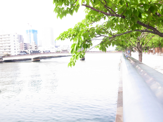 b0310424_13493061.jpg