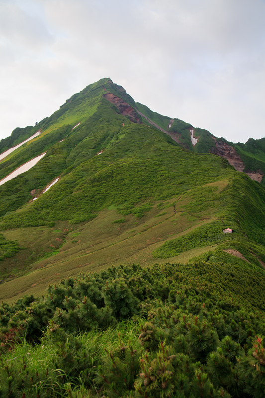 b0243727_19262322.jpg