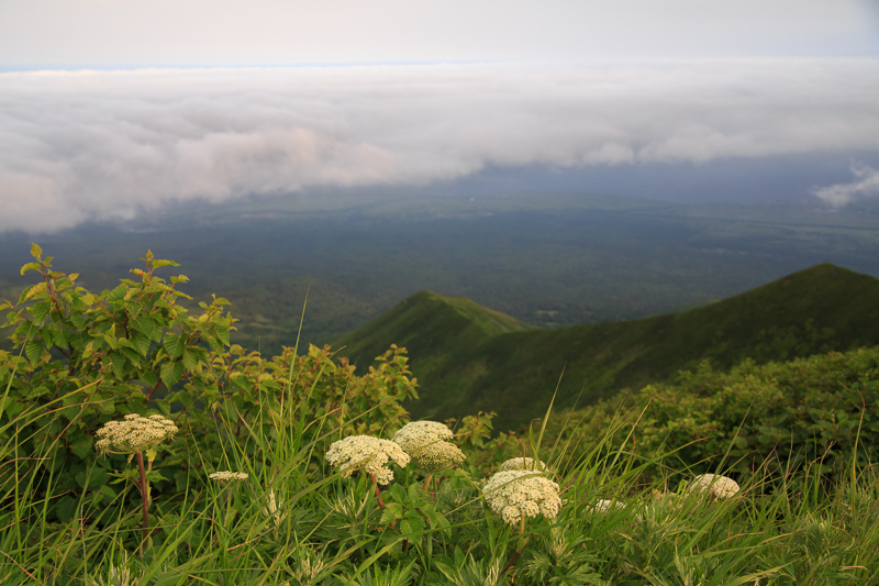 b0243727_19312448.jpg