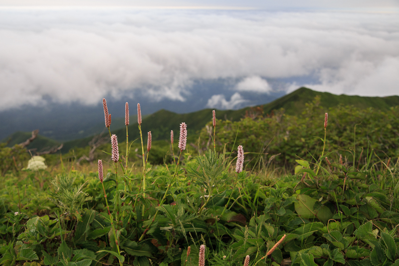 b0243727_193220100.jpg