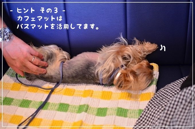 この仔は誰でしょう。_d0179828_09062897.jpg