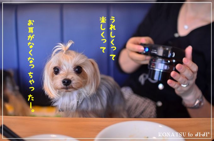 この仔は誰でしょう。_d0179828_11371796.jpg