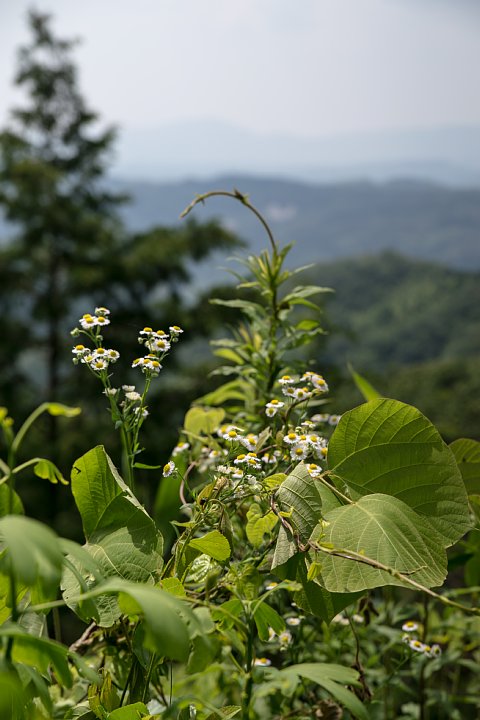 b0134829_2214587.jpg