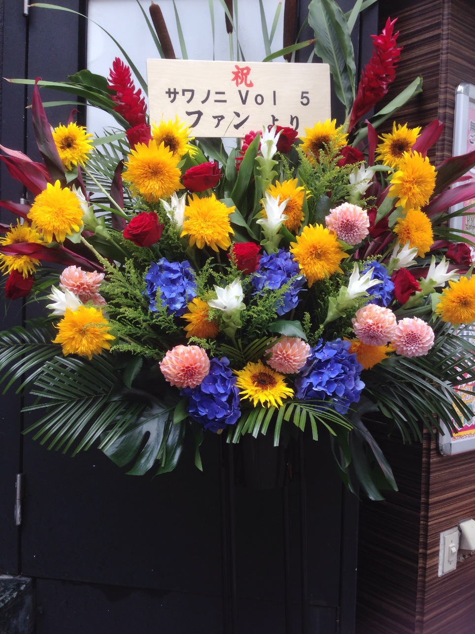 サワソニれぽ〜昼ばん〜_a0209330_23172599.jpg