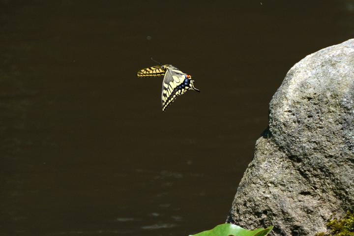 b0191934_23175886.jpg