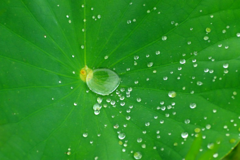 雨風の日に　(2_d0060435_20541959.jpg