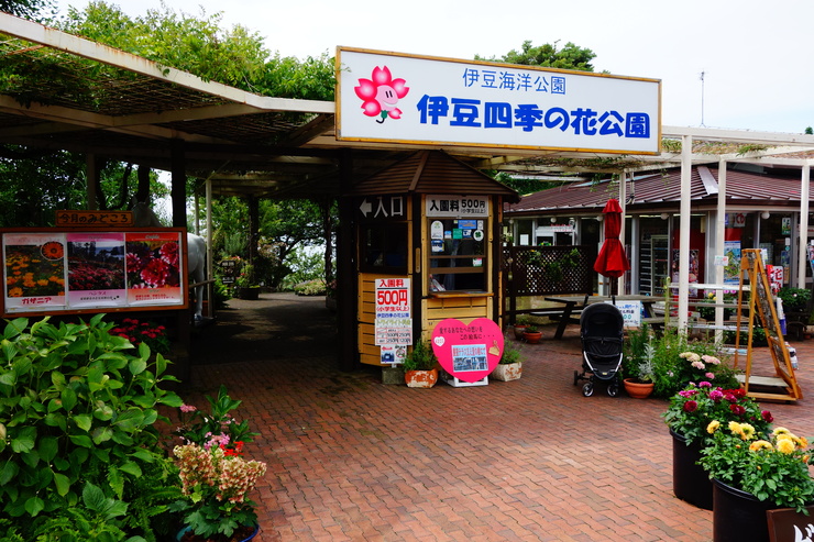 駆け足で巡る静岡県伊東市 その2 伊豆四季の花公園 趣味はウォーキングでは無い 駆け足で巡る静岡県伊東市 その2 伊豆四季の花公園 趣味はウォーキングでは無い