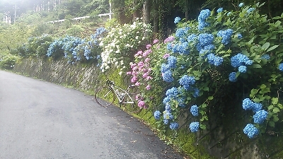 f0236449_23341198.jpg