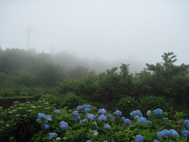 2014.7.7　旭ヶ丸～高鉾山_c0219866_15192210.jpg