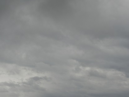 雨空 木々 雨空 木々