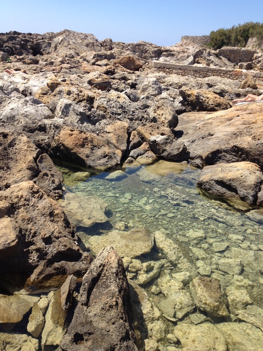 06/07/2014 2週間ぶりですね、海_a0136671_1515214.jpg