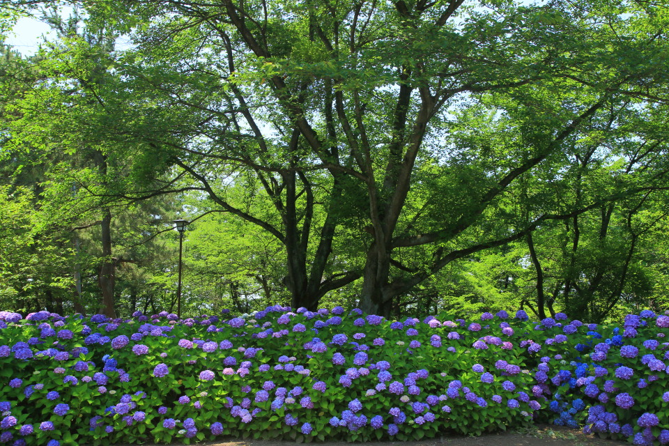 水道山公園（１）_e0096372_10121930.jpg