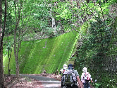 f0259373_16163539.jpg