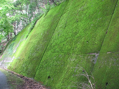 f0259373_16164073.jpg