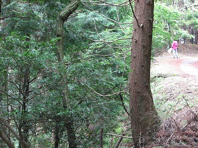 f0259373_16213721.jpg