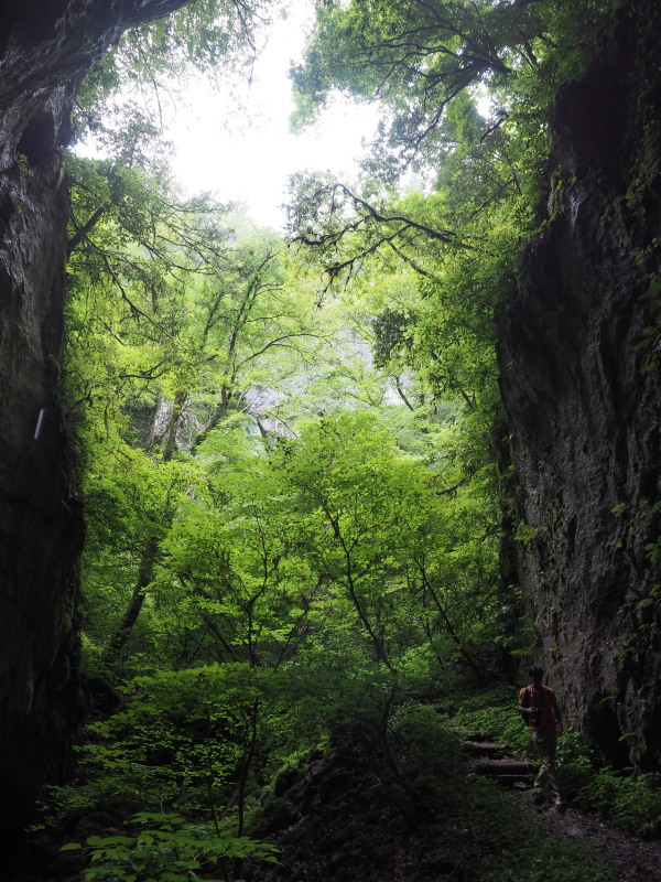 c0254479_2347289.jpg