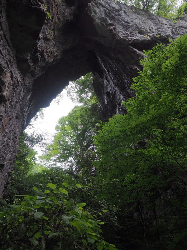 c0254479_234742.jpg