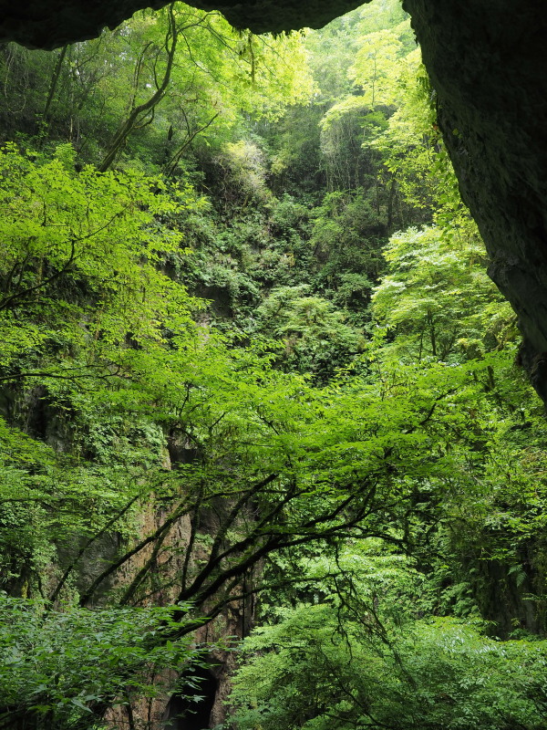 c0254479_23475343.jpg