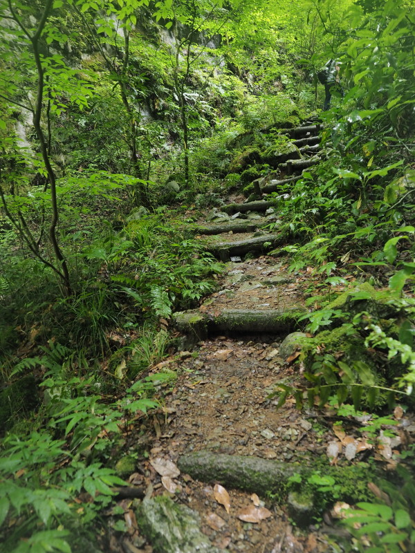 c0254479_23583499.jpg