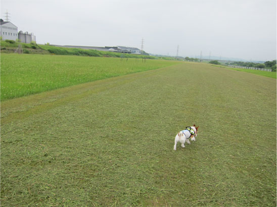 b0125788_071228.jpg