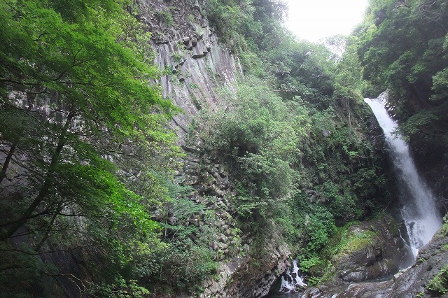 e0070891_1812941.jpg