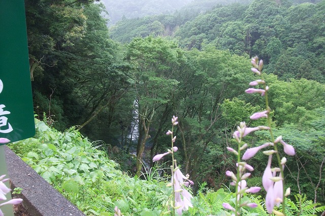 e0070891_18181027.jpg
