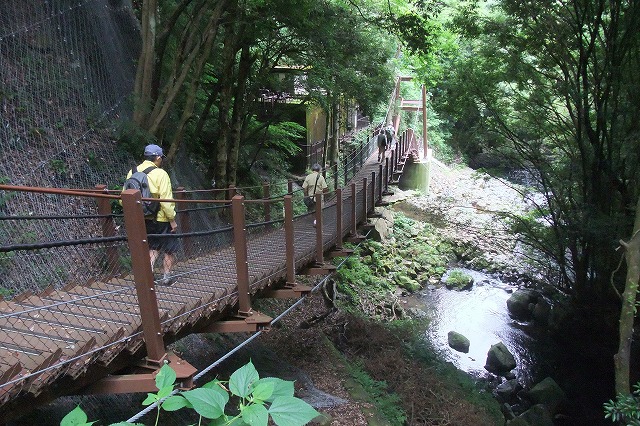e0070891_1891825.jpg