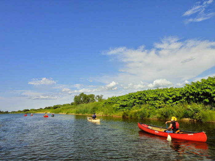 新緑の余市川を下る_d0198793_17493921.jpg