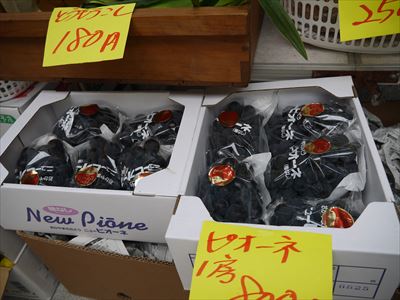 f0141700_15591891.jpg