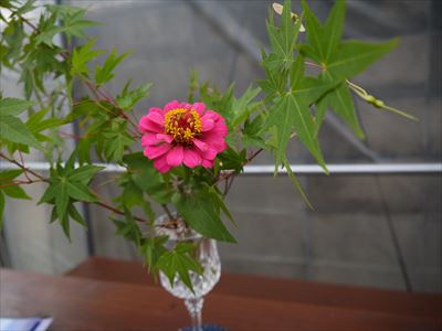 f0141700_1601770.jpg
