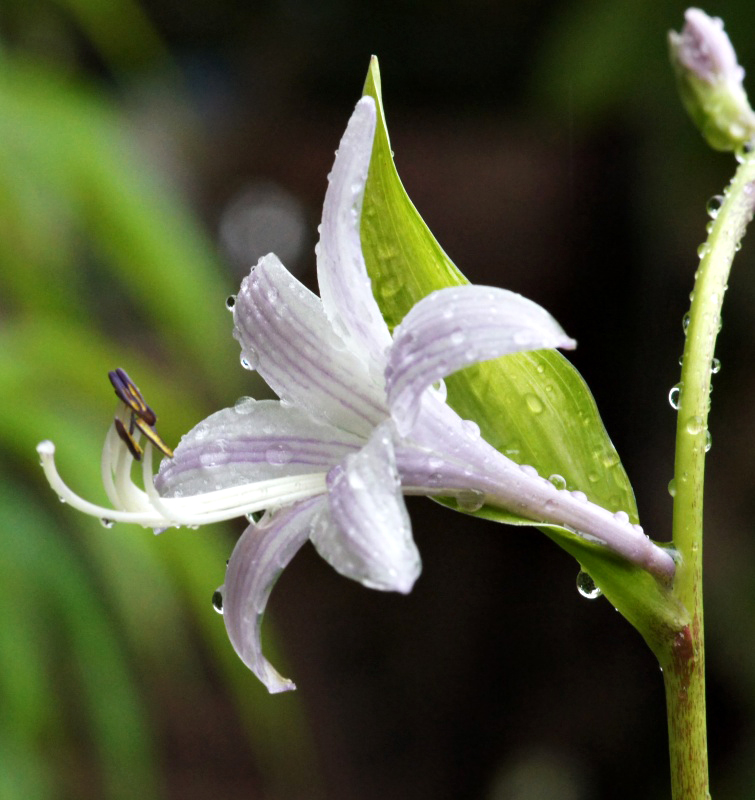 e0039703_2143302.jpg
