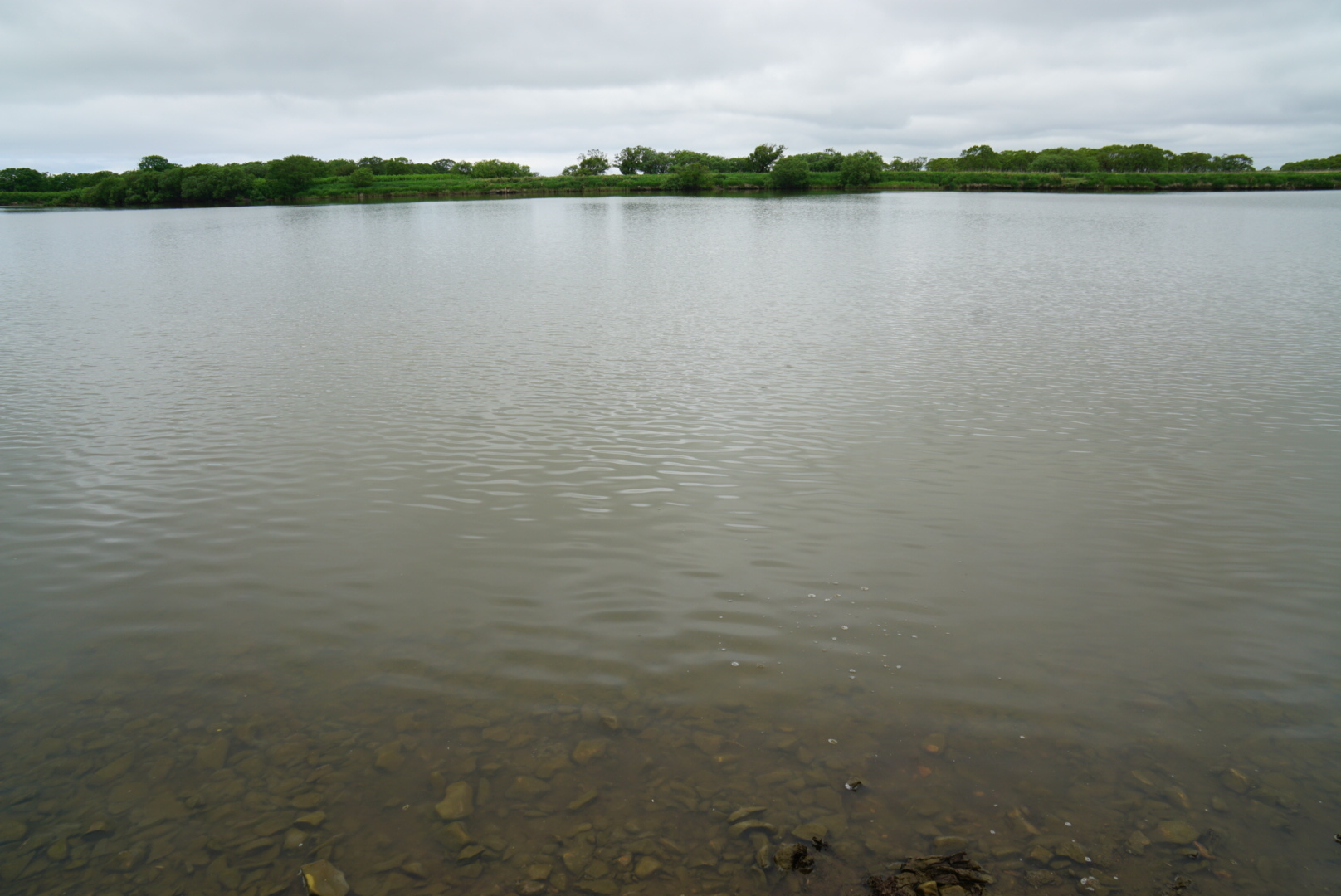 b0110205_13311583.jpg