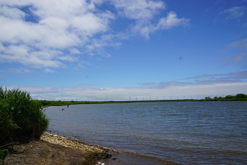 b0110205_1331324.jpg