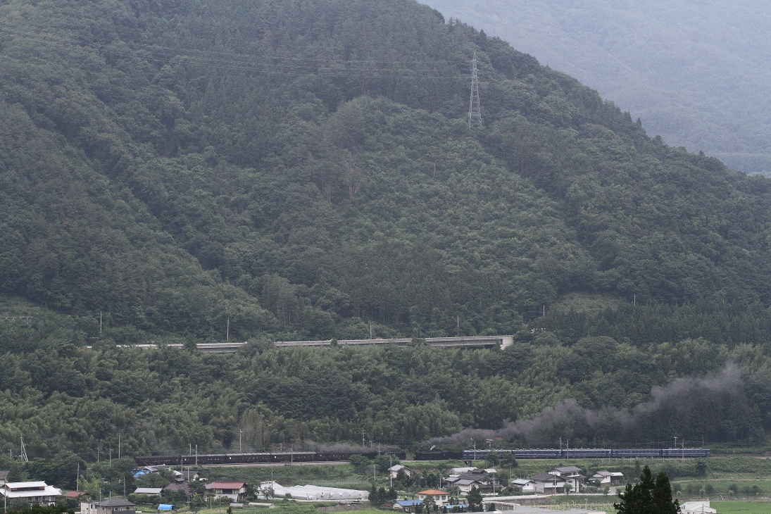 七夕のひととき - 2014年梅雨・上越線 - _b0190710_23384011.jpg