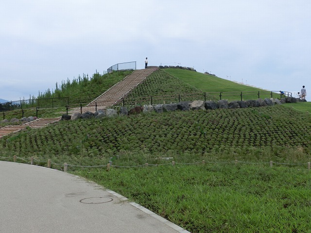 久しぶりに出かけた「ふじのくに田子の浦みなと公園」_f0141310_7382086.jpg
